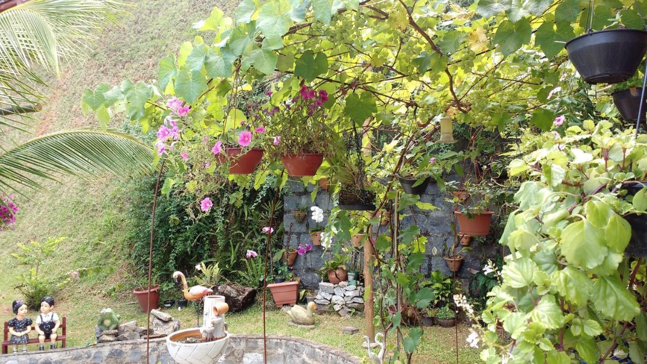 Pousada Stohler Haus ペネド エクステリア 写真